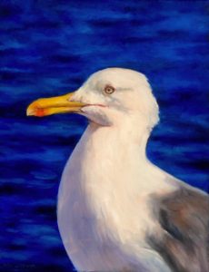 Gull-image