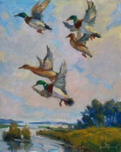 Mallards in flight-image